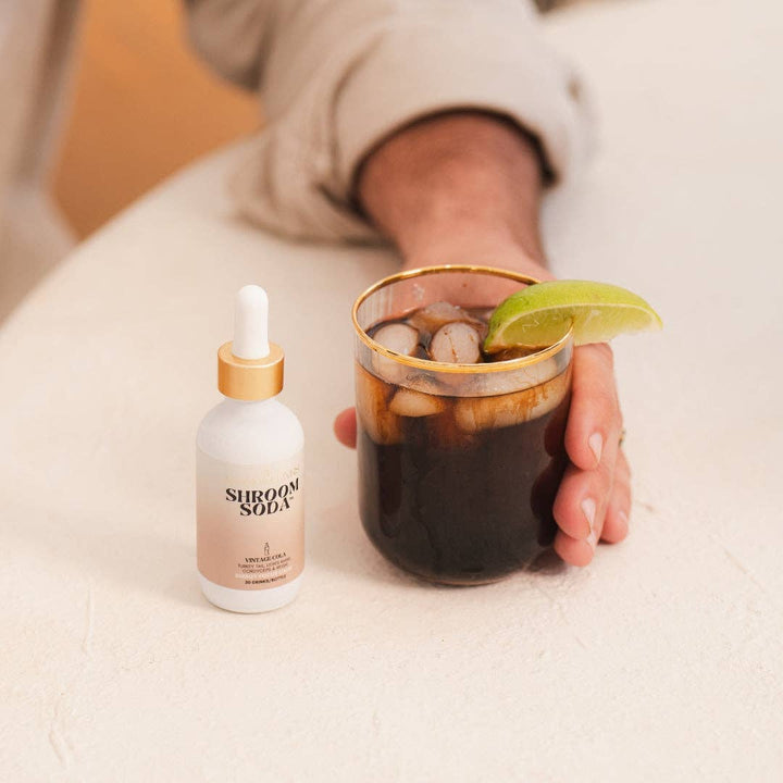 Shroom Soda: Root Beer
