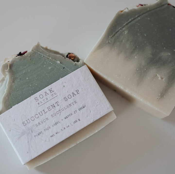 Succulent Soap Bar