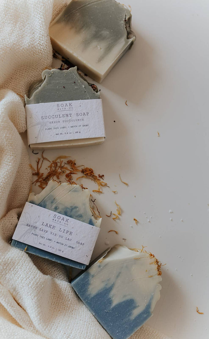 Succulent Soap Bar